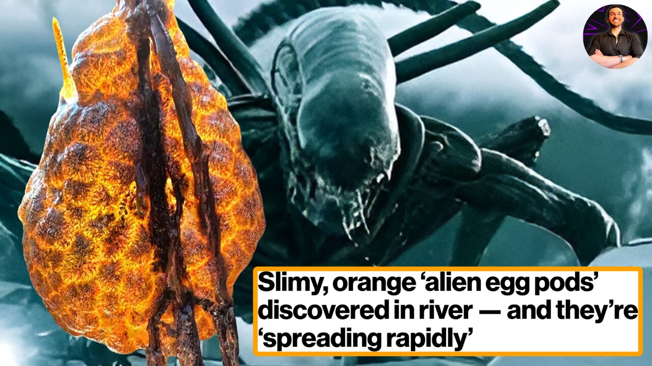 Slimy, Orange Alien Sacks are Washing Up on Shores! CRAZY!