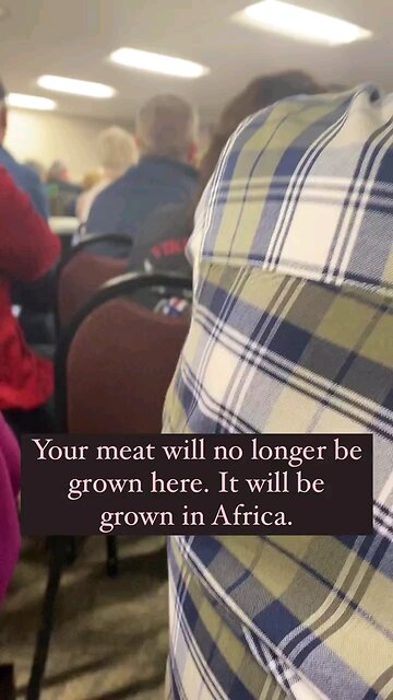why are they growing our meat in africa?