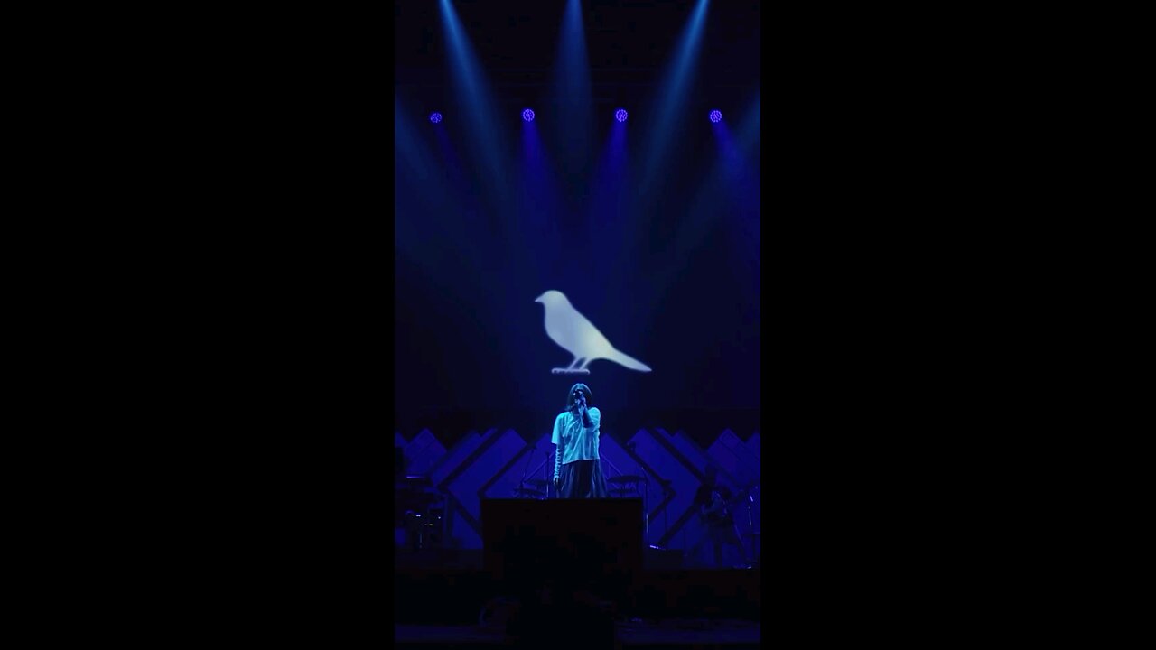 Naruto Live