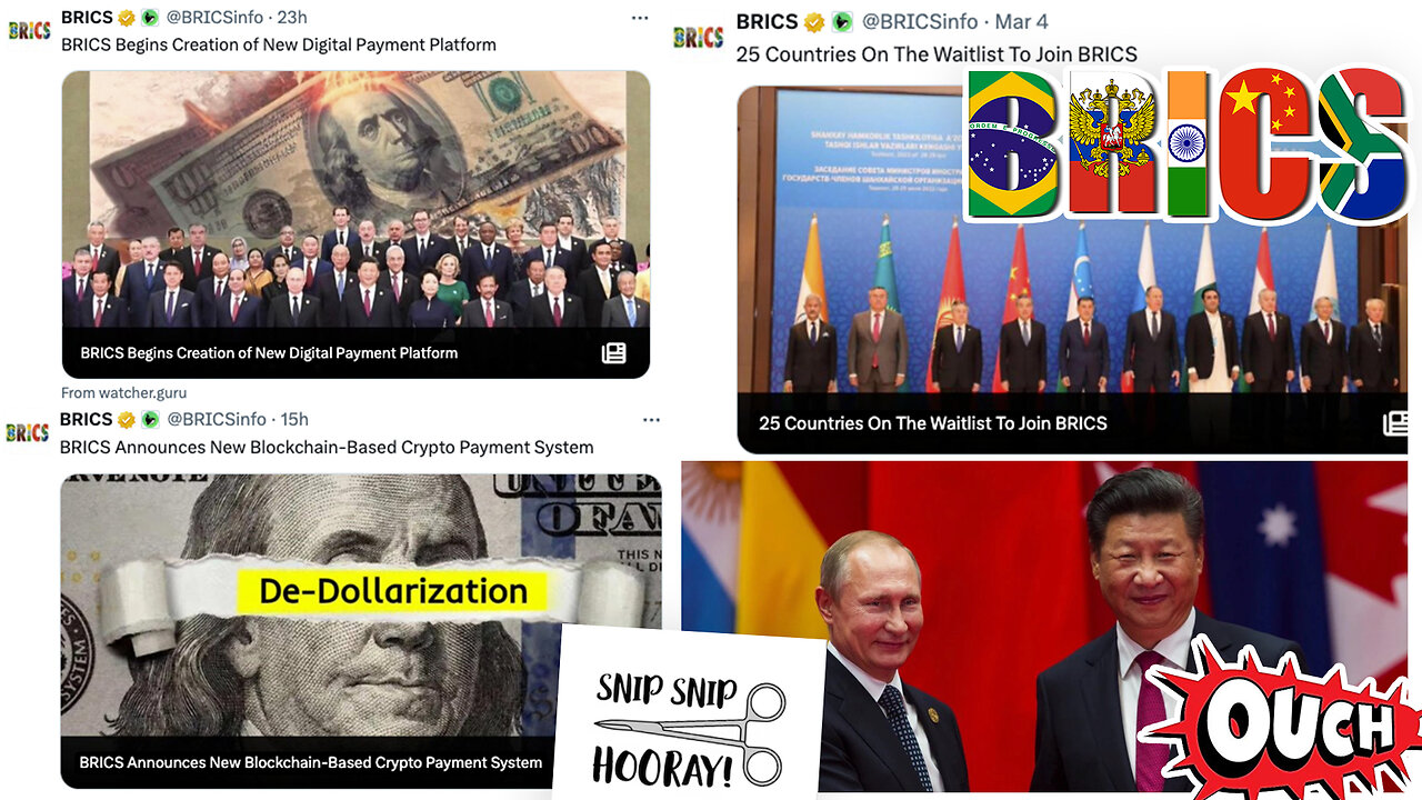 BRICS | Is America About to Experience a Financial Vasectomy Without Anaesthesia? BRICS Announces Creation of Independent Payment System! + 25 Countries On The Waitlist To Join BRICS!!! + What Are Bail-Ins?