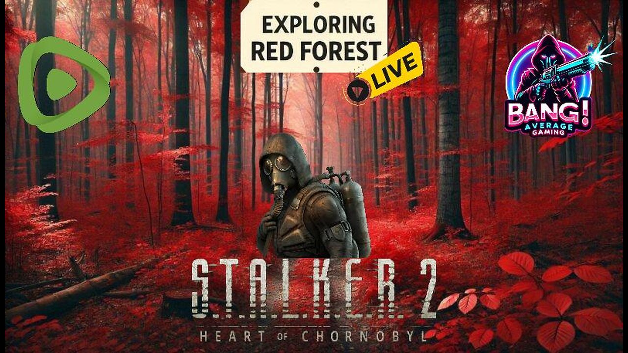 STALKER 2, RED FOREST, QUARRY, BEST SNIPER SVU-MK S-3