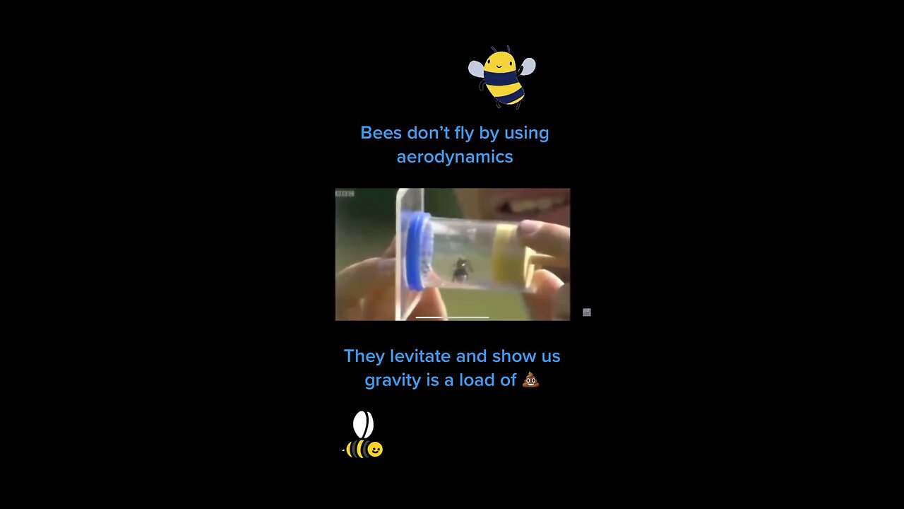 Bees and „Gravity“