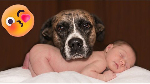 Unconditional Love -Best friendship ever💖💖💖-Pets Class Part 95