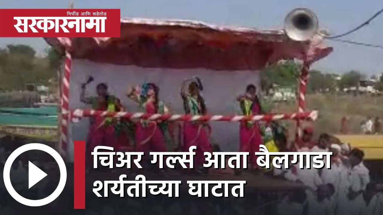 Bullock cart race | Cheer girls आता क्रिकेट स्टेडियममधून Bailgada शर्यतीच्या घाटात| Pune |Sarkarnama