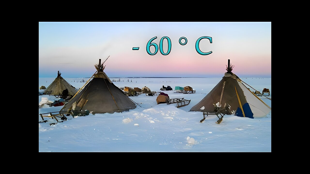 North Nomads life in winter. Ural mountains and tundra life. Russia. Full film.