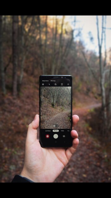 The A31 Camera/Samsung