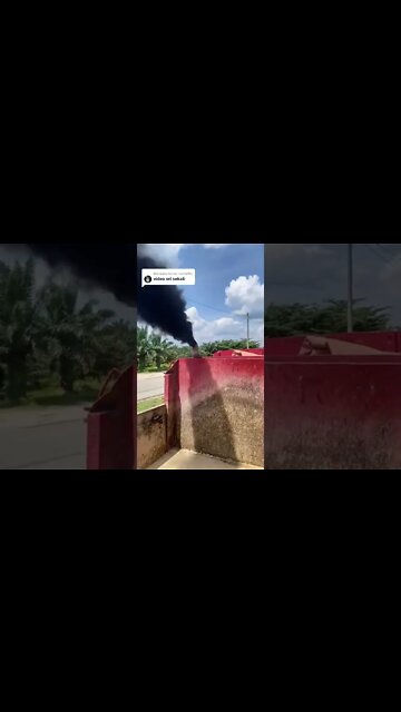 #shorts #2022 funny,prank,funjokes,dad jokes,funny memes,funny video,fun,laughing,funny animal,knock