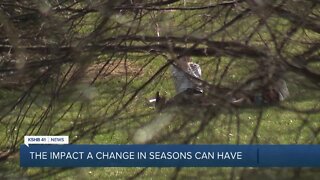 Psychologists say spring helps improve mental health