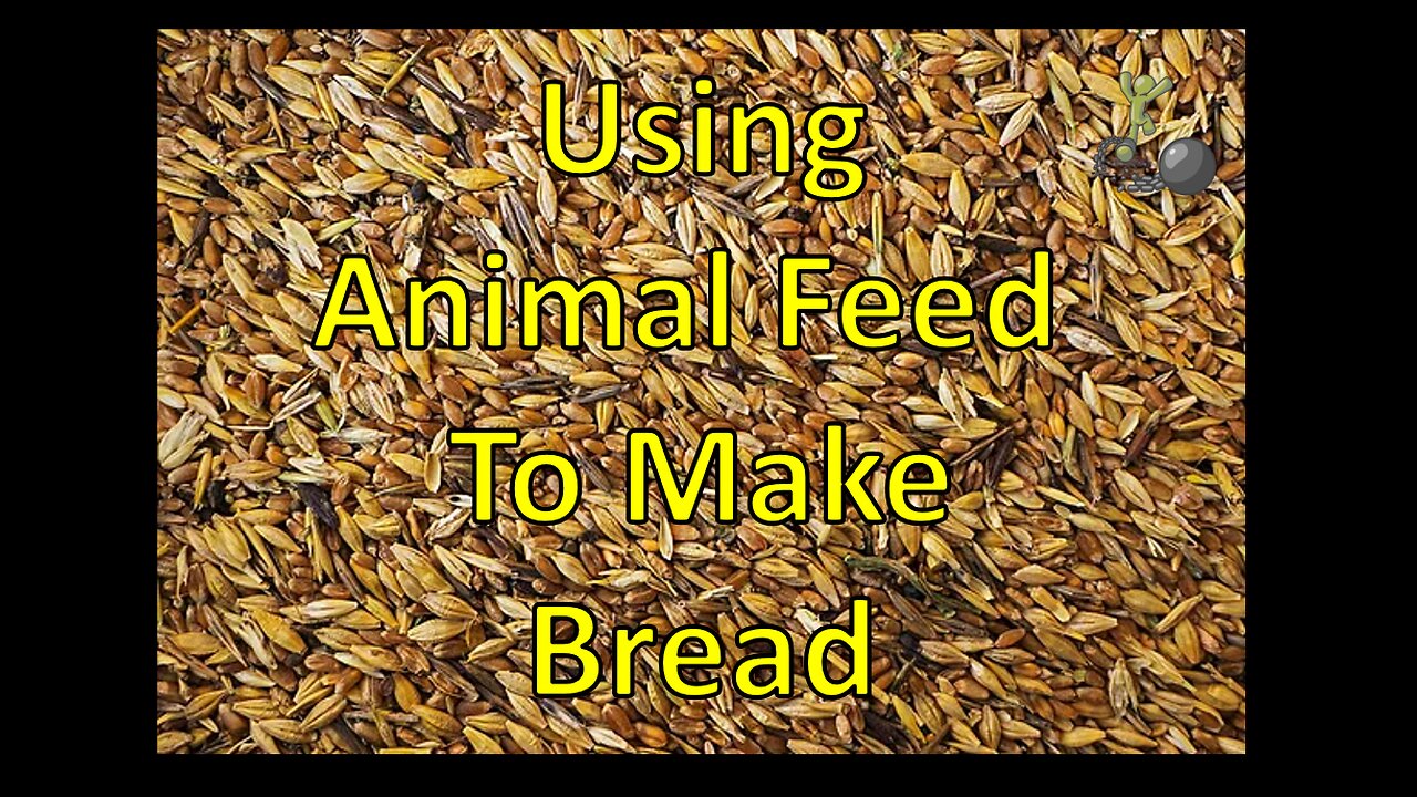 Using Animal Feed to Make Whole Wheat Bread