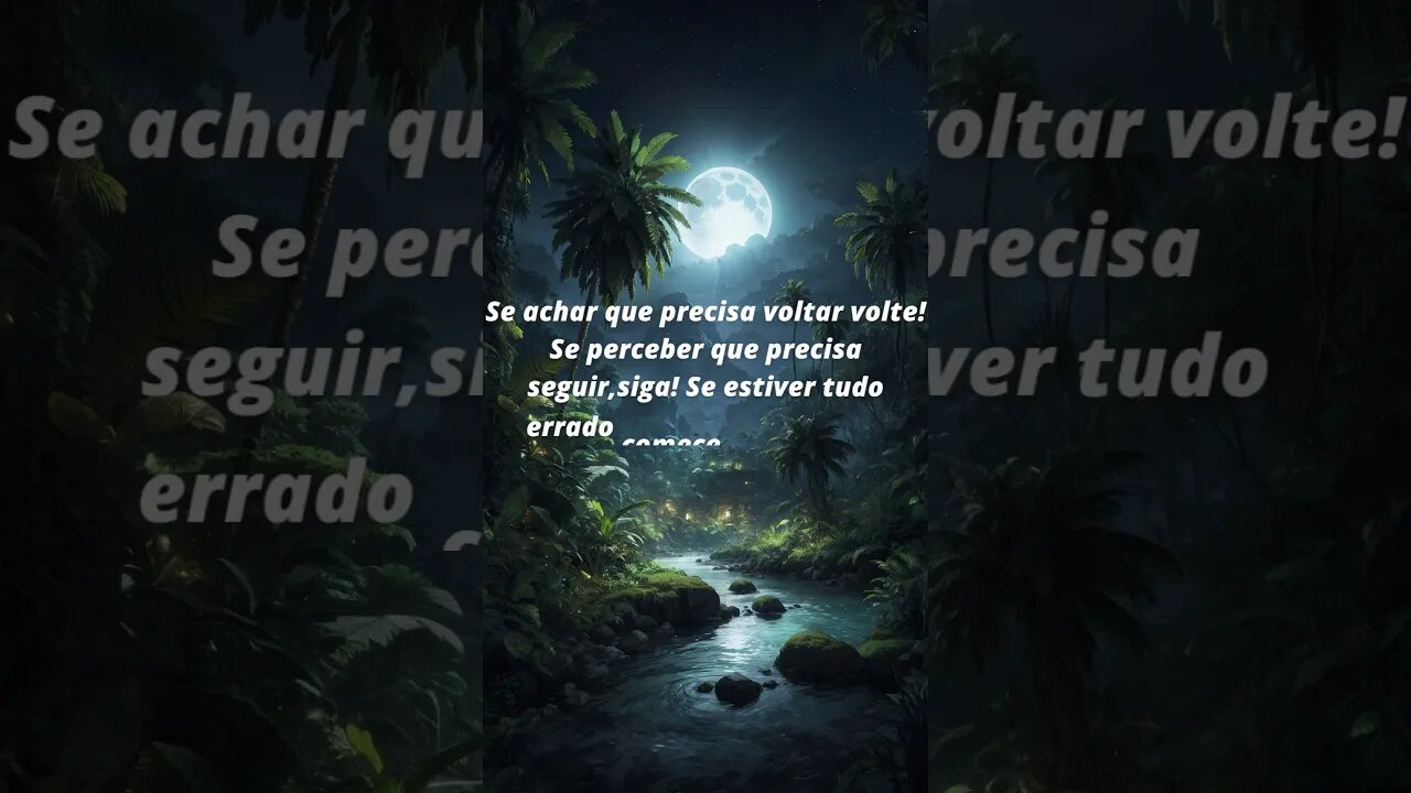 Procure o seu caminho #motivationalvideo #reflexão #autoestima #determinação