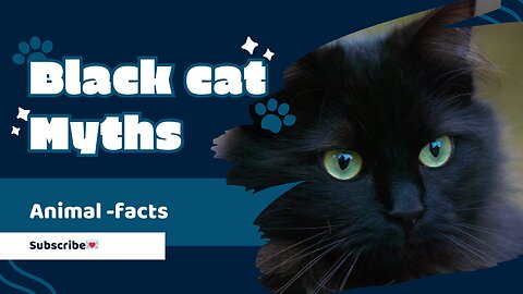 Top 10 surprising myths and facts about cat