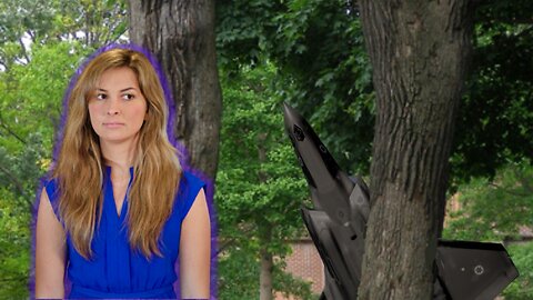 F-35 jet SPOTTED...it was hiding behind this tree