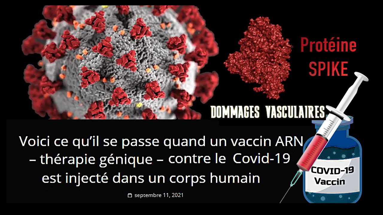 Le VACCIN ARNm anti-covid fonctionne comment ? Le processus est ici détaillé ainsi que ses conséquences (Hd 720)...