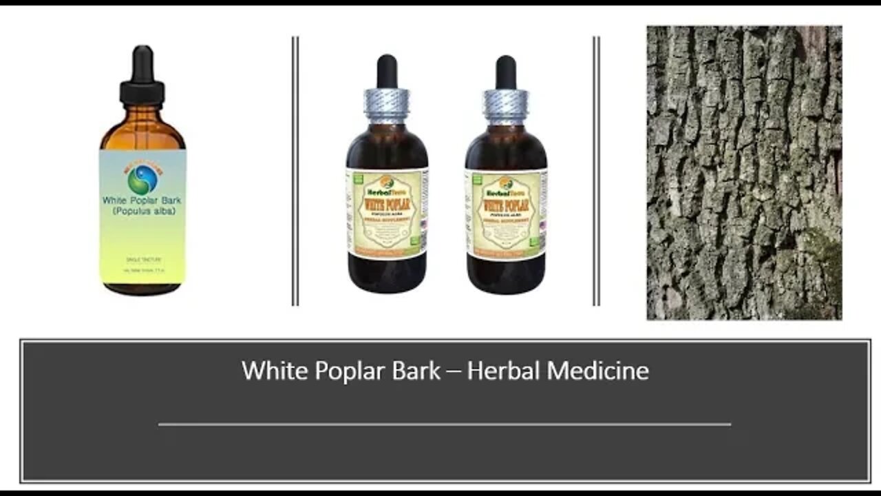 White Poplar Bark Herbal Medicine Benefits