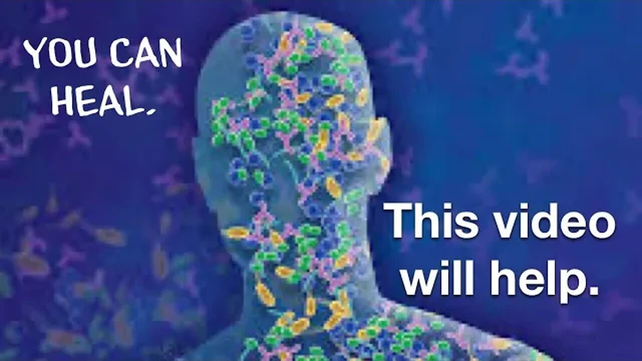 Your Microbiome and how to Improve your Life everyday