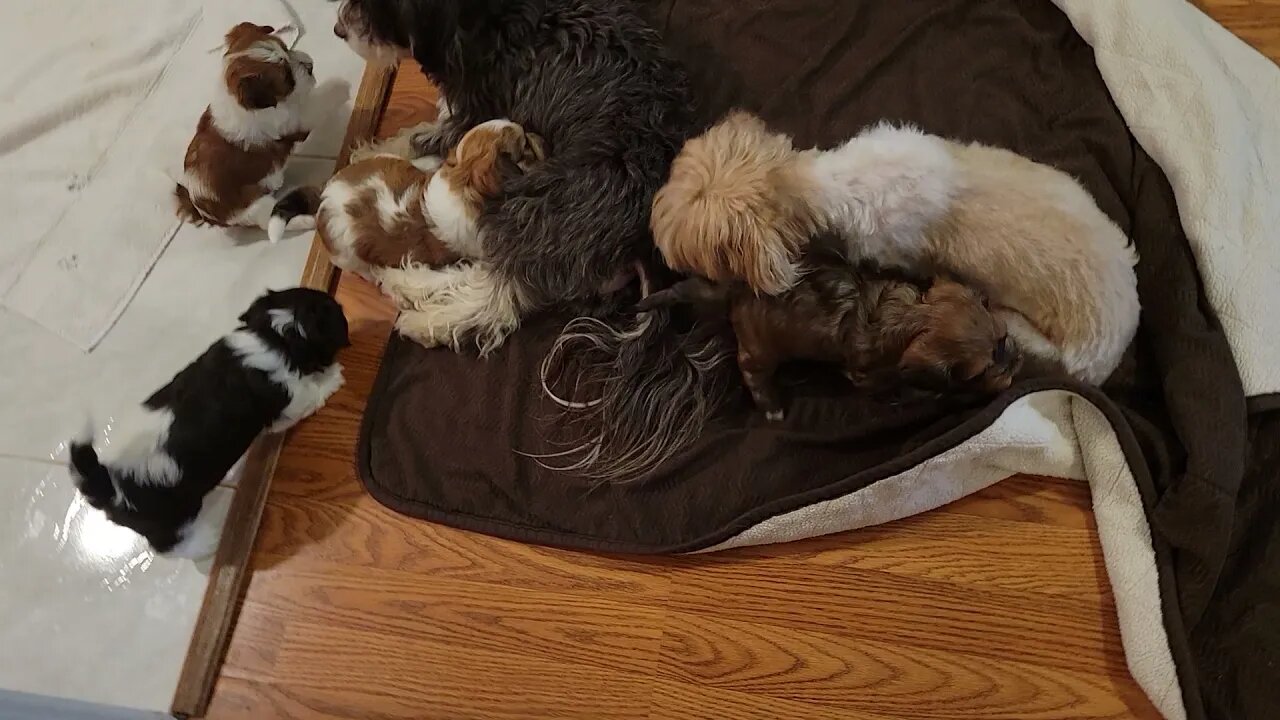 May 3rd... Party In The Kitchen(1)