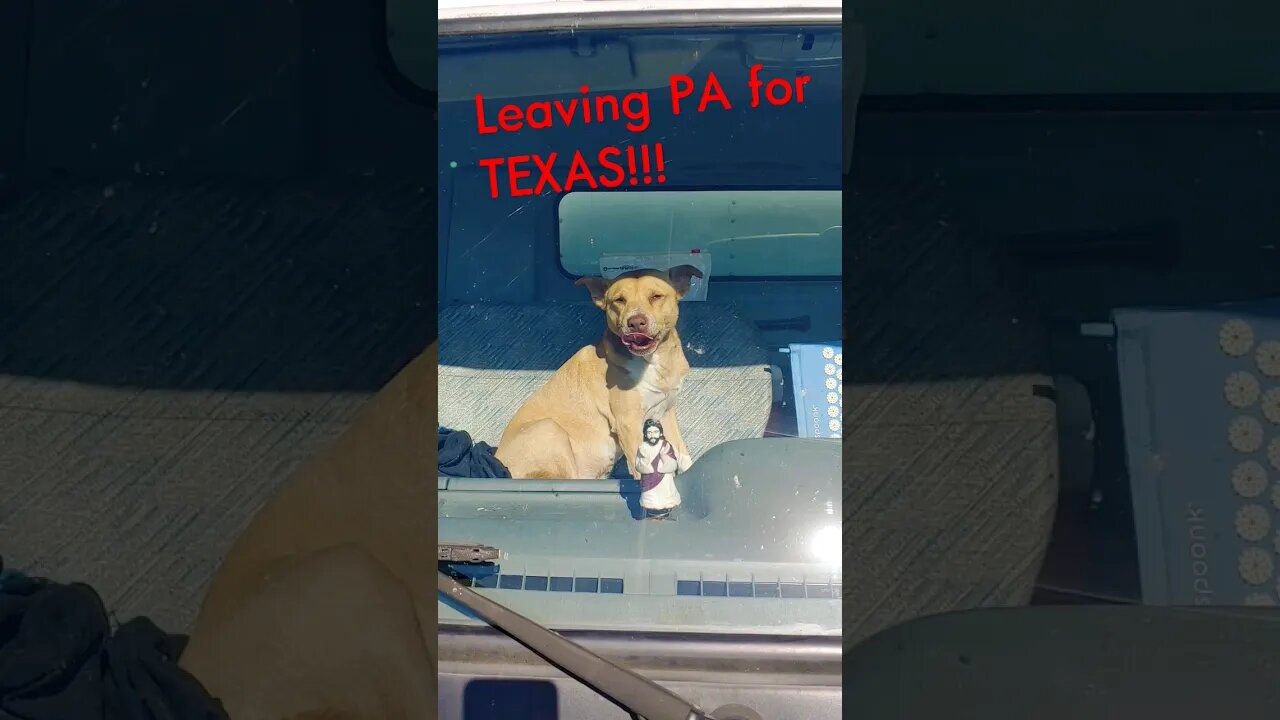 PA to Texas for better life