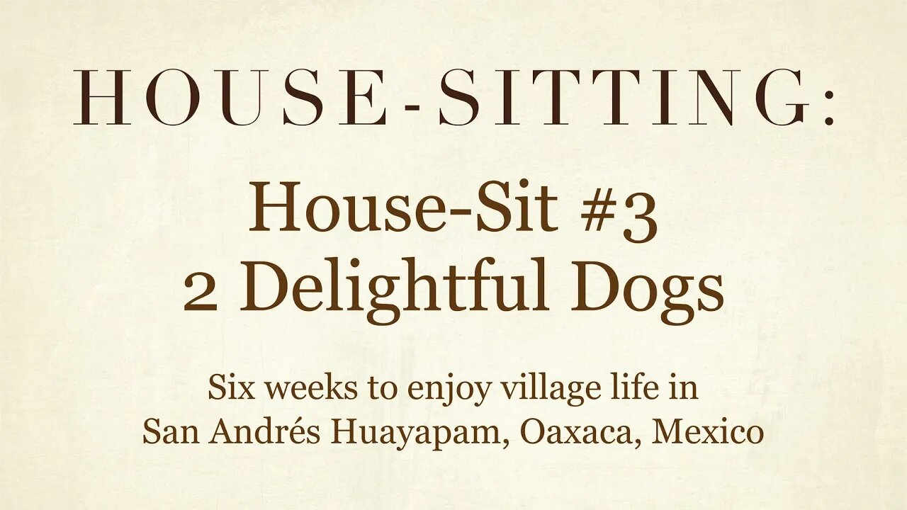 House-Sitting » House-Sit #3 » 2 Delightful Dogs » San Andrés Huayapam, Oaxaca, Mexico