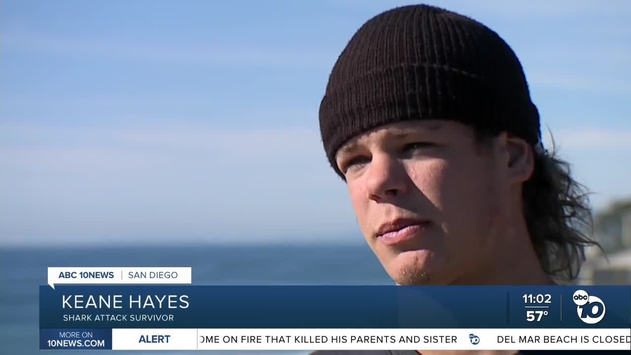 Shark attack survivor reflects and offers support to latest shark attack victim