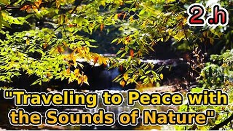 The Surprising Power of Nature Sounds for Deep Relaxation