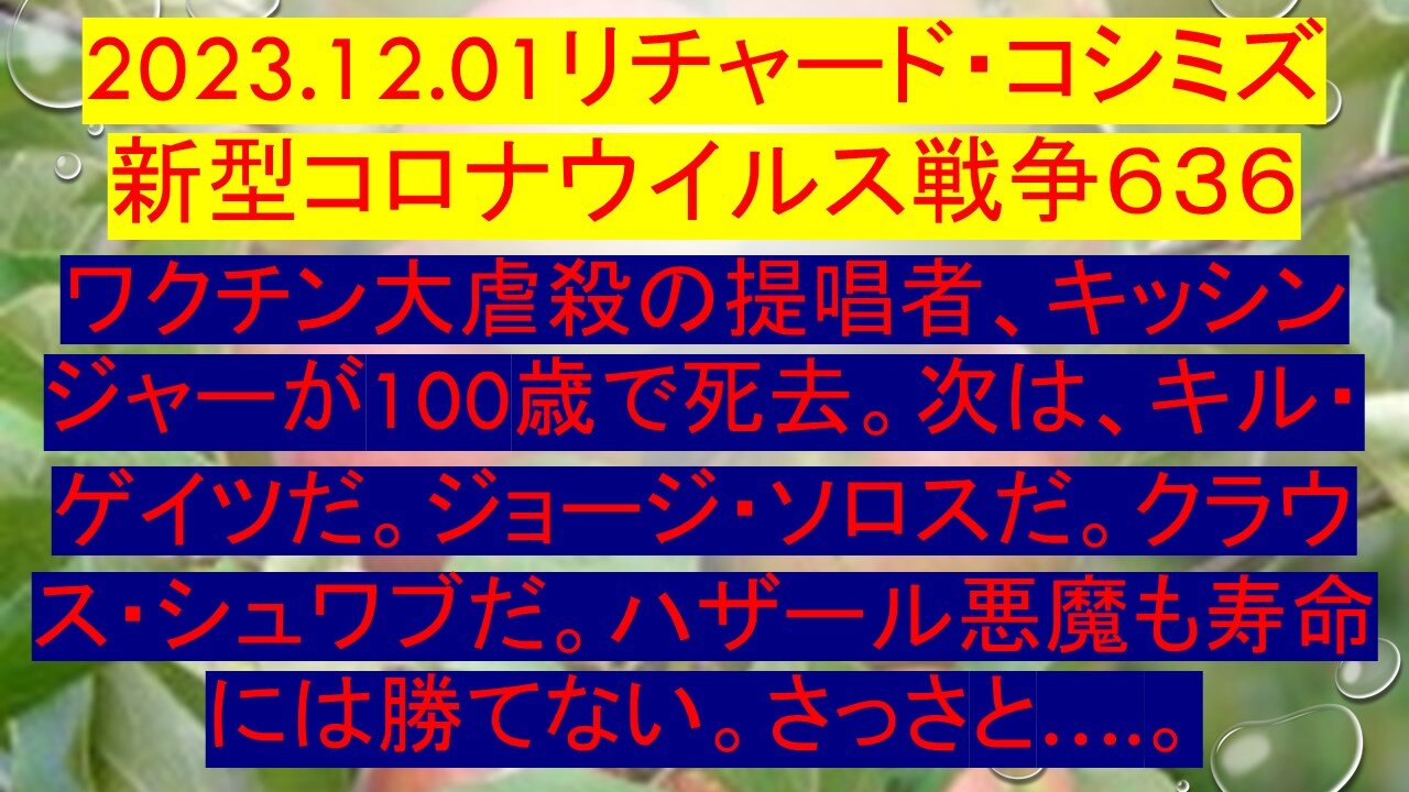 2023.12.01 リチャード・コシミズ新型コロナウイルス戦争６３６