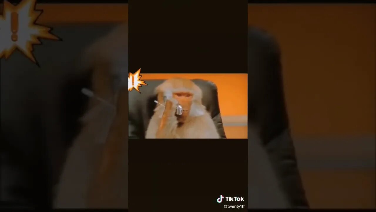 🤣🥰😂😍🤣🥰😂😍🤣🥰😂😍