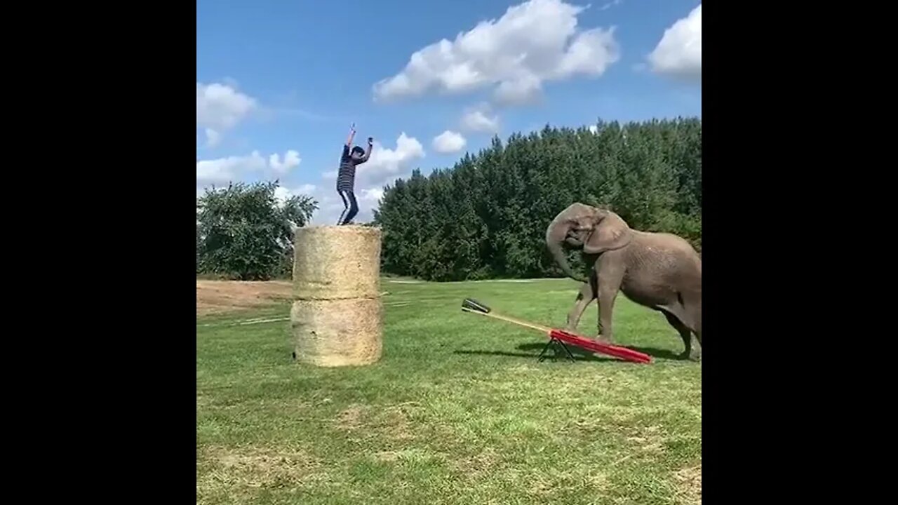 That's a good partner