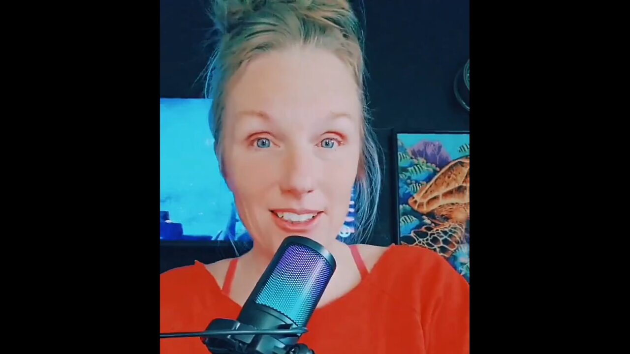 THE AMERICAN POORS (Language)