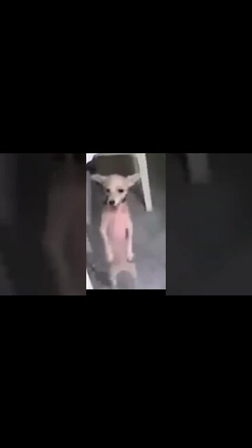 Falta Muito pra Sexta - Feira Chegar Ainda? #shorts