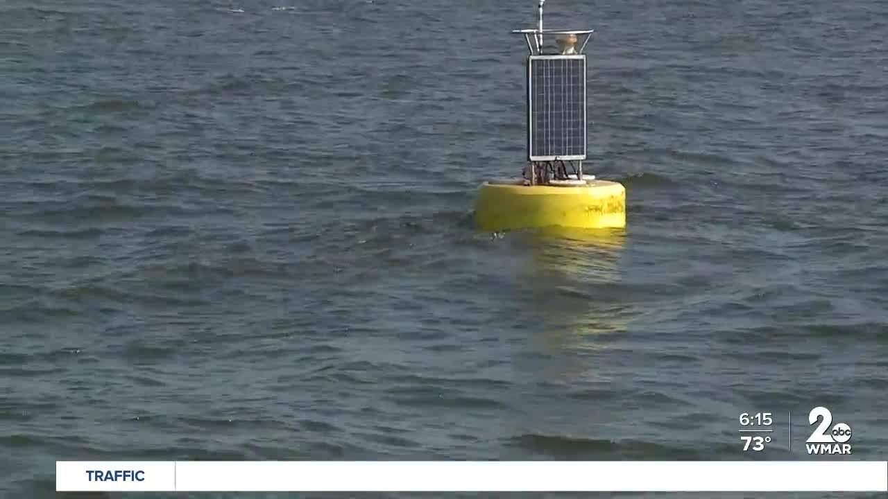 New Buoys on the Chesapeake Bay!