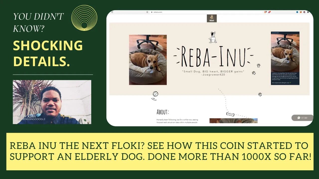 Reba Inu The Next Floki? See How This Coin Was Started To Support An Elderly Dog. More Than 1000x!