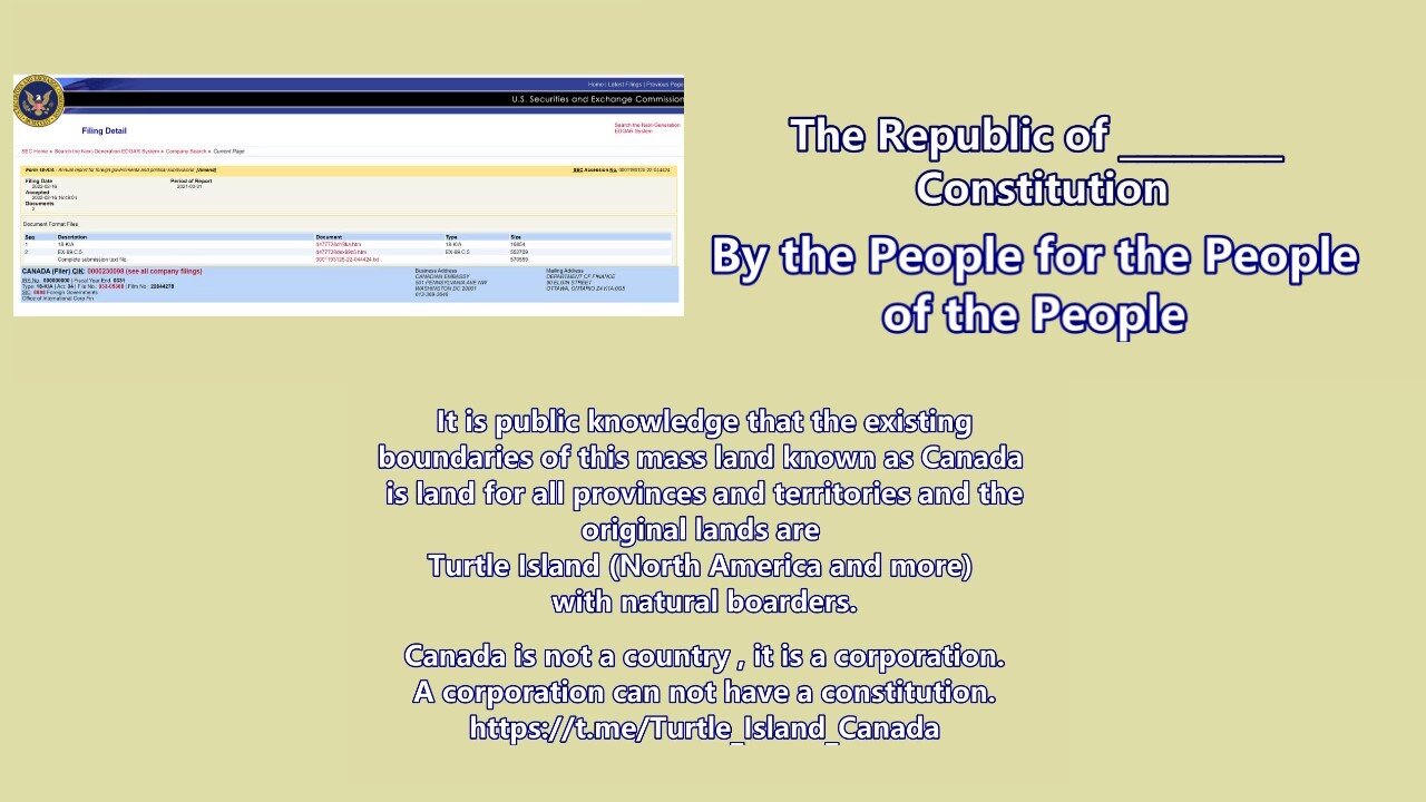 Constitution by the People for the People of the People