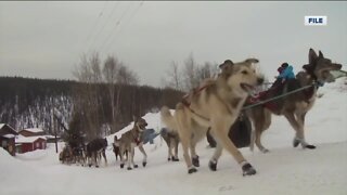 History of Mushing