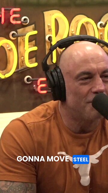 Safety First? The Truth About Risk! #safety #risk #joerogan