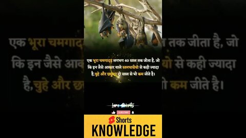 Motivational Quotes Intresting Facts lifestyle & research #shorts #ytshorts #knowledge #motivation