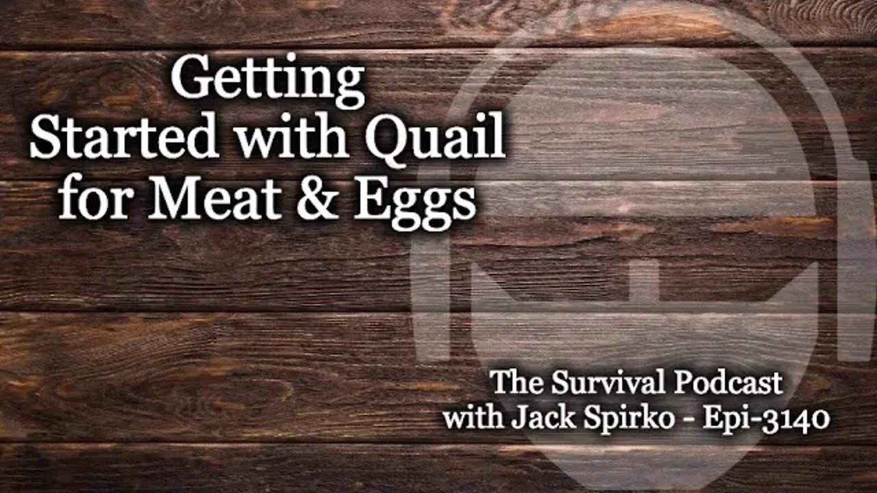 Getting Started with Quail for Meat & Eggs - Epi-3140