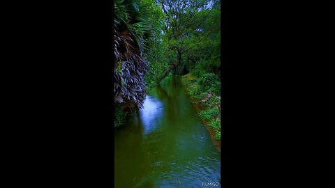 nature