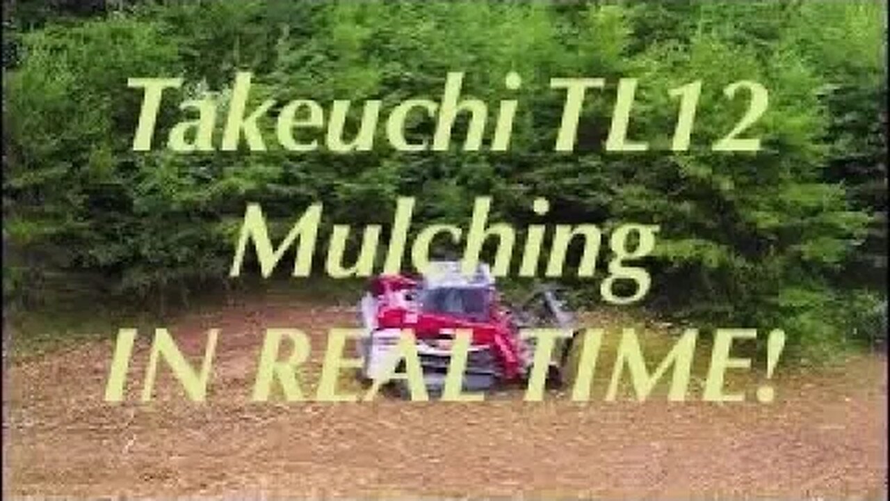 Takeuchi FAE forestry mulching IN REAL TIME!