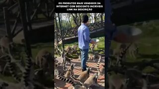 ESTOURANDO O BEXIGÃO EM FESTA DE CRIANÇA