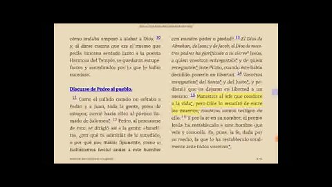 Hechos de los Apóstoles. 3 de 3. Temas centrales de este libro. Fray Nelson Medina.