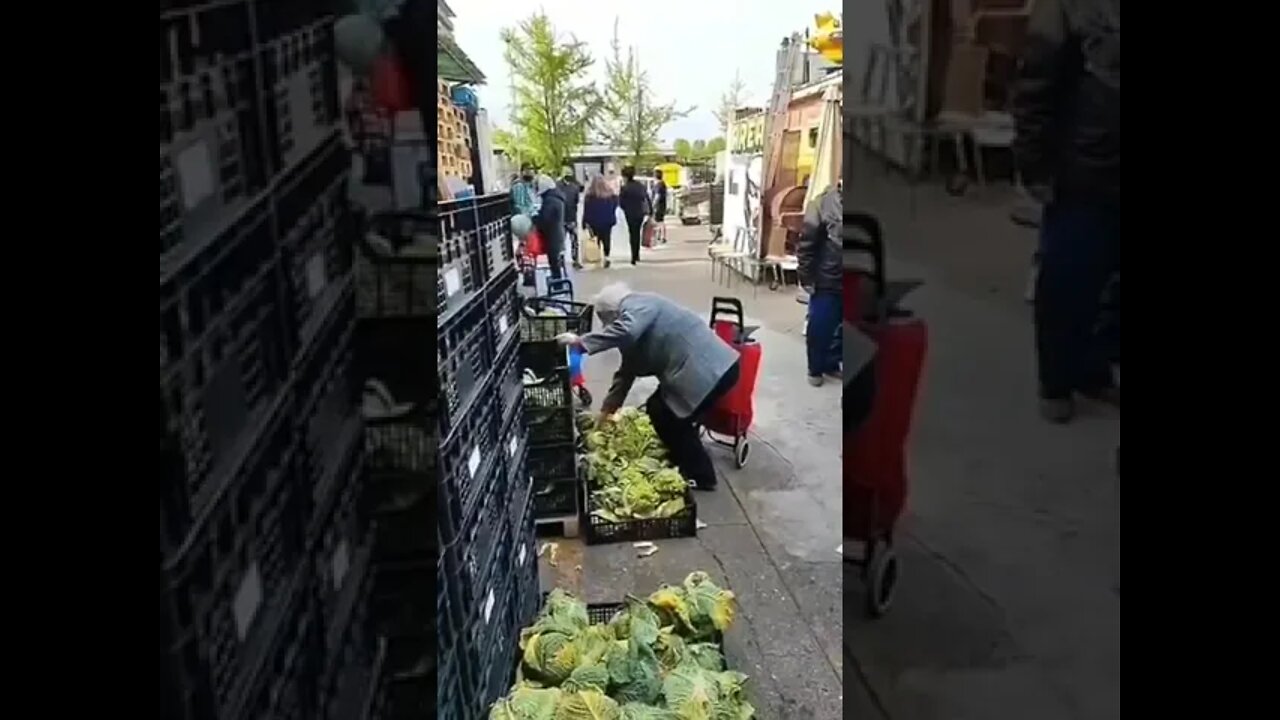 The elderly people of Italy are forced to dig through the waste in the markets in order to find food