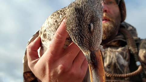 Solo Kayak Duck Hunting In My Ascend H12 || I Was On The Struggle Bus