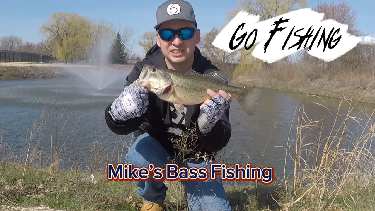 Pond fishing for largemouth bass