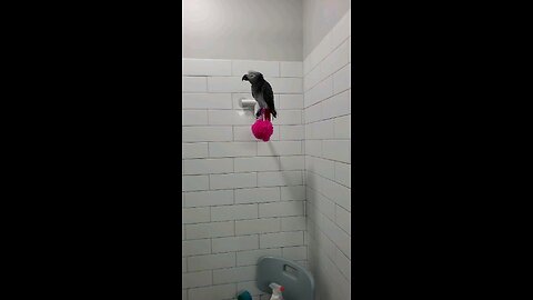 Grove shower