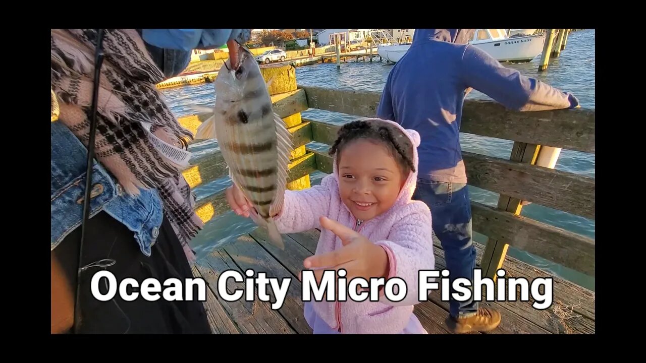 Ocean City Micro fishing #saltwatermicrofishing #sheepshead #oceancitymaryland