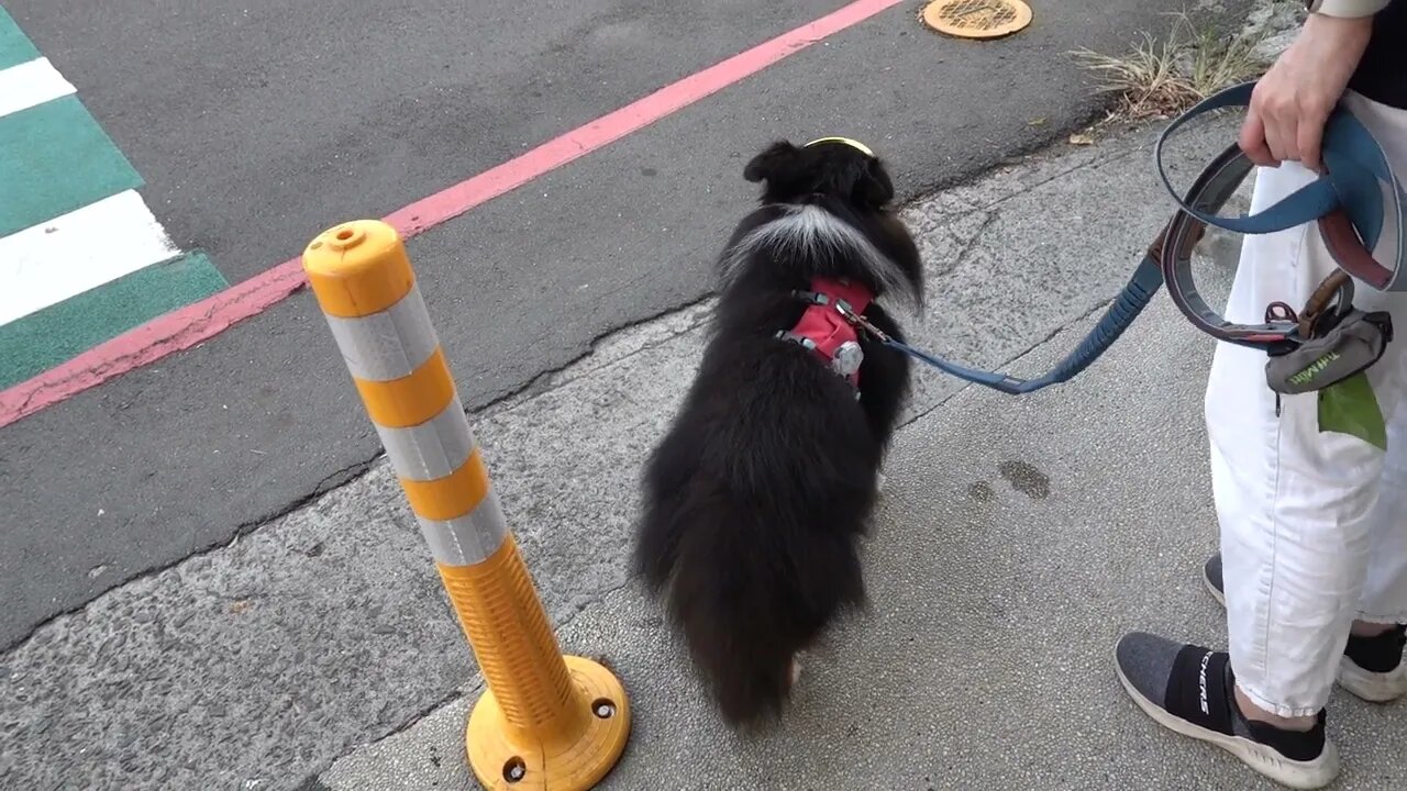 220728 morning walk [part i]