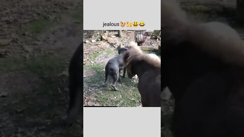 Hey, let her choose who she wants to be with.