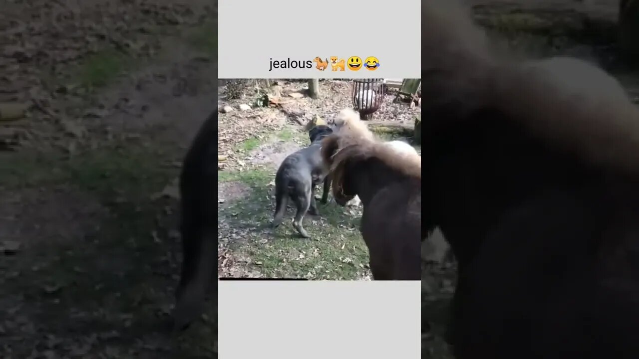 Hey, let her choose who she wants to be with.