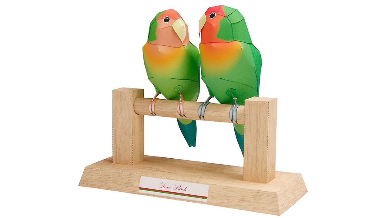 Paper lovebirds/Agapornis de papel