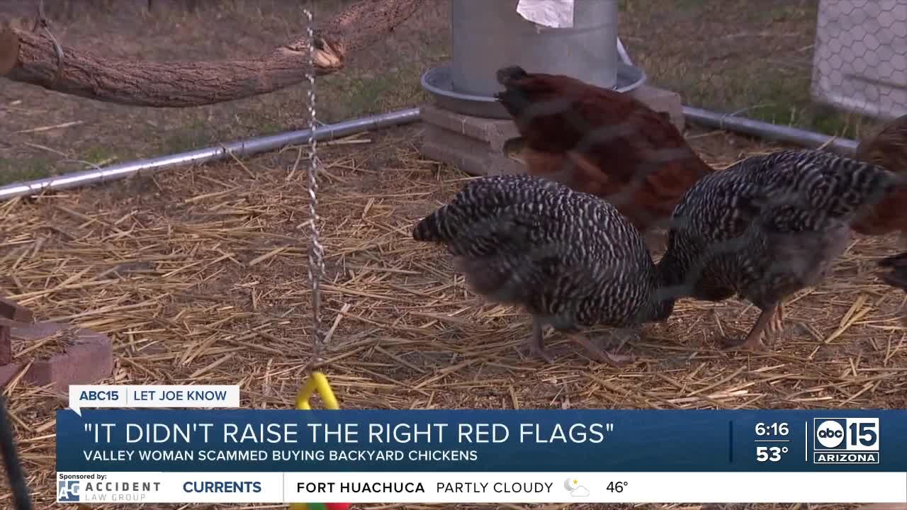 Valley woman falls victim to potential scam posing as chicken hatchery